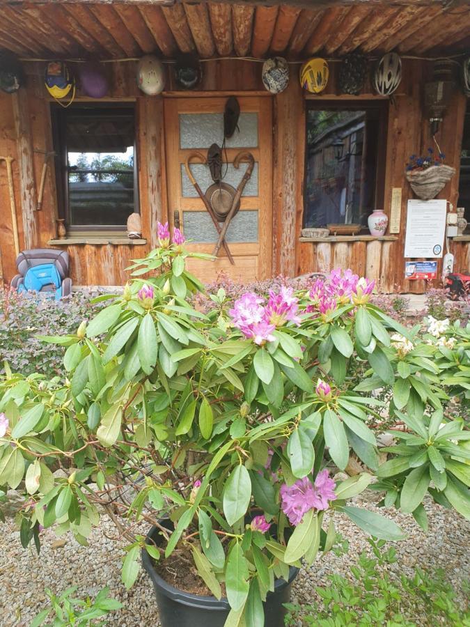 Kwatera prywatna Zbójnickie Izby Zakopane